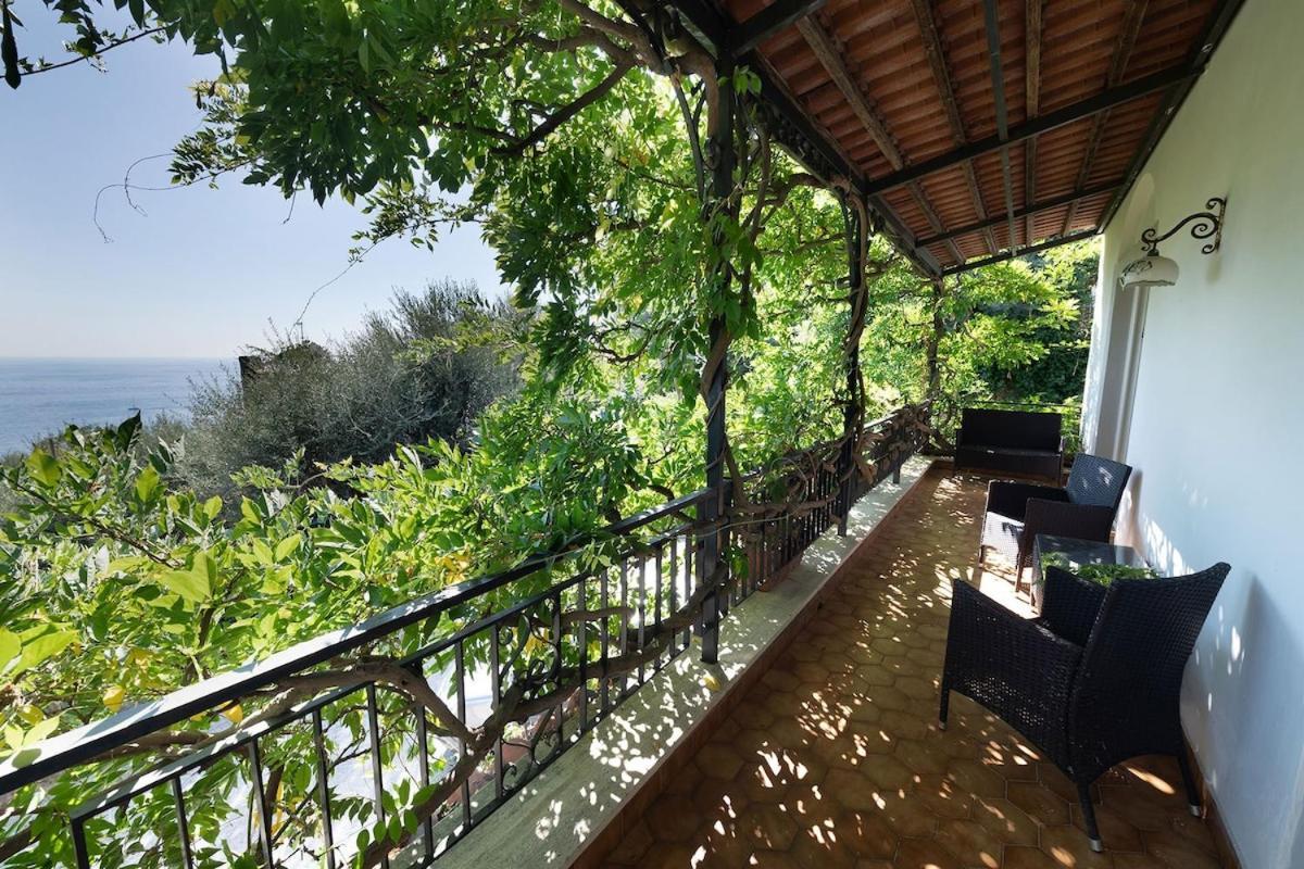 Villa Marinella Close To The Sea With Private Pool Nerano Ngoại thất bức ảnh